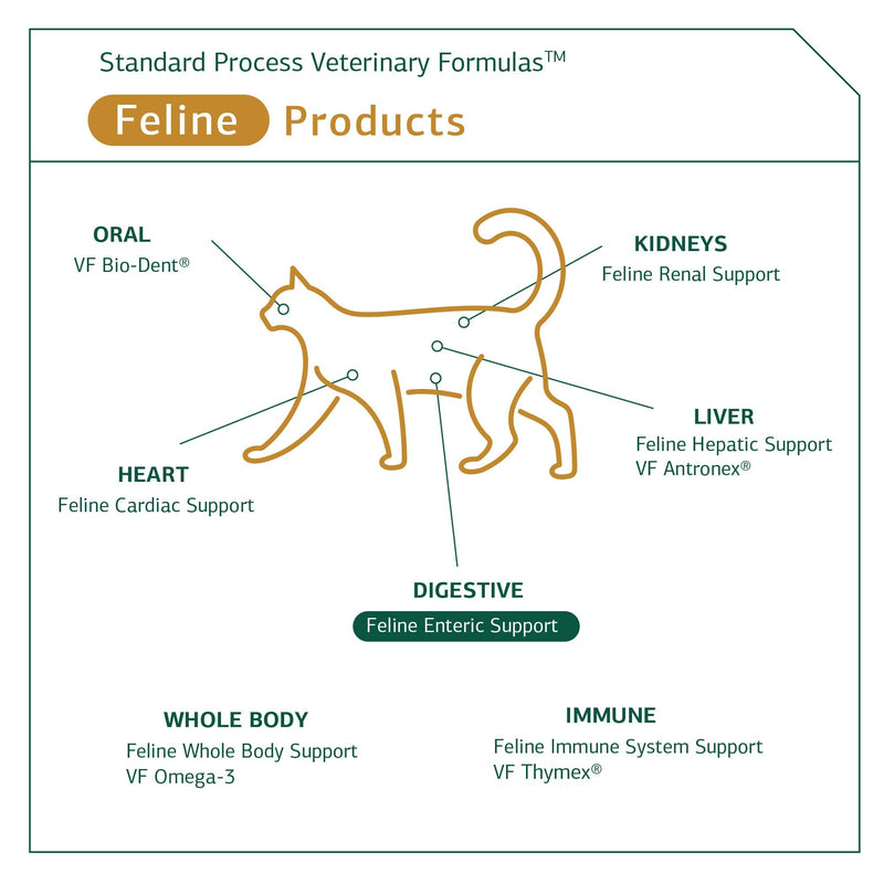 Standard Process - Feline Enteric Support - 90 Tablets - BeesActive Australia