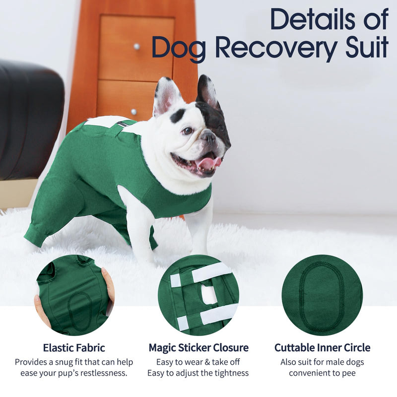 IECOii Dog bodysuit after castration male dogs, breathable bodysuit for dogs after surgery for surgical abdominal wounds and skin protection, e-collar alternative after dog body surgery, large-green large (chest: 22.8-27.2 in) green - BeesActive Australia