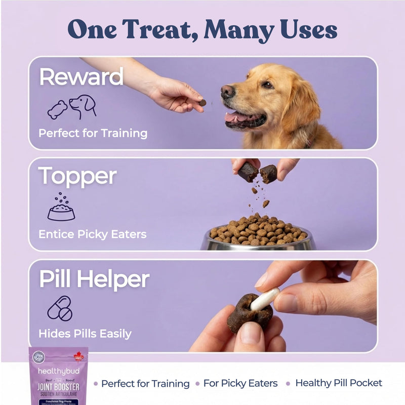 healthybud Hip & Joint Soft Chews for Dogs – Grain-Free Functional Dog Treats with Glucosamine, Chondroitin & Green Lipped Mussel – Daily Mobility Support – for All Ages & Breeds – 130 g (4.6 oz) 4.6 Ounce (Pack of 1)