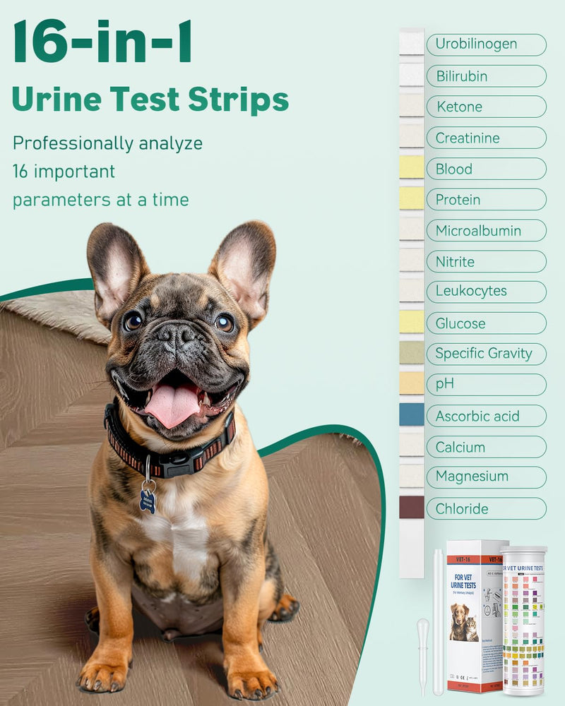 Pawfly 100 Strips Urine Test Strips, UTI Test Kit for 16 Parameters, Pet Urine Testing Strips, Veterinary Urinalysis Test Strips for Ketone, Glucose, Blood, Specific Gravity pH & More 16 in 1 - BeesActive Australia