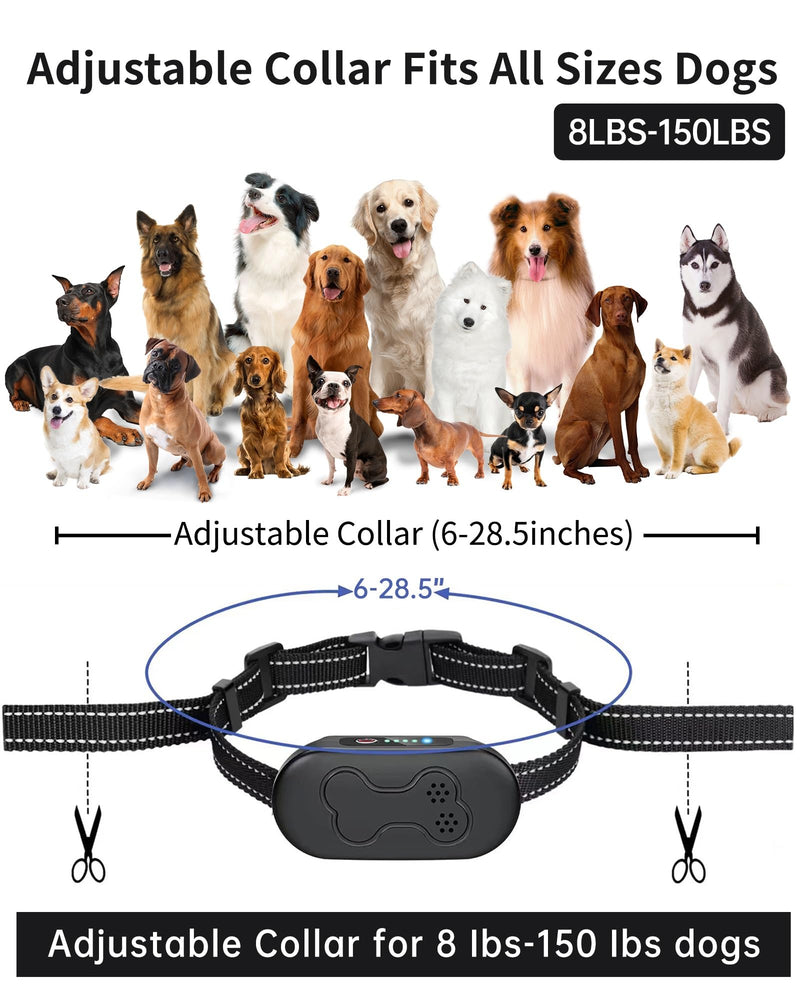 Dog Shock Collar - 2000FT Dog Training Collar with Remote, IPX7 Waterproof E Collar for Dogs with 4 Safe Training Modes Beep Vibration Shock Flashlight Perfect for Small Medium and Large Dogs - Gray Grey - BeesActive Australia