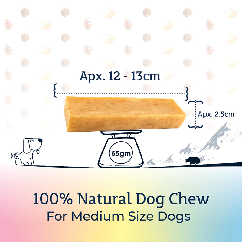 Himalayan Cheese Chews for Dogs Multipack - Apple, Coconut, Mango Chews for Medium Dogs (6.08oz, Pack of 3) Long Lasting, All Natural | Grain-Free | Rawhide-Free | Protein Rich, Healthy Teeth & Bones Apple, Mango, Coconut 2.27 Ounce (Pack of 3) - PawsPlanet Australia