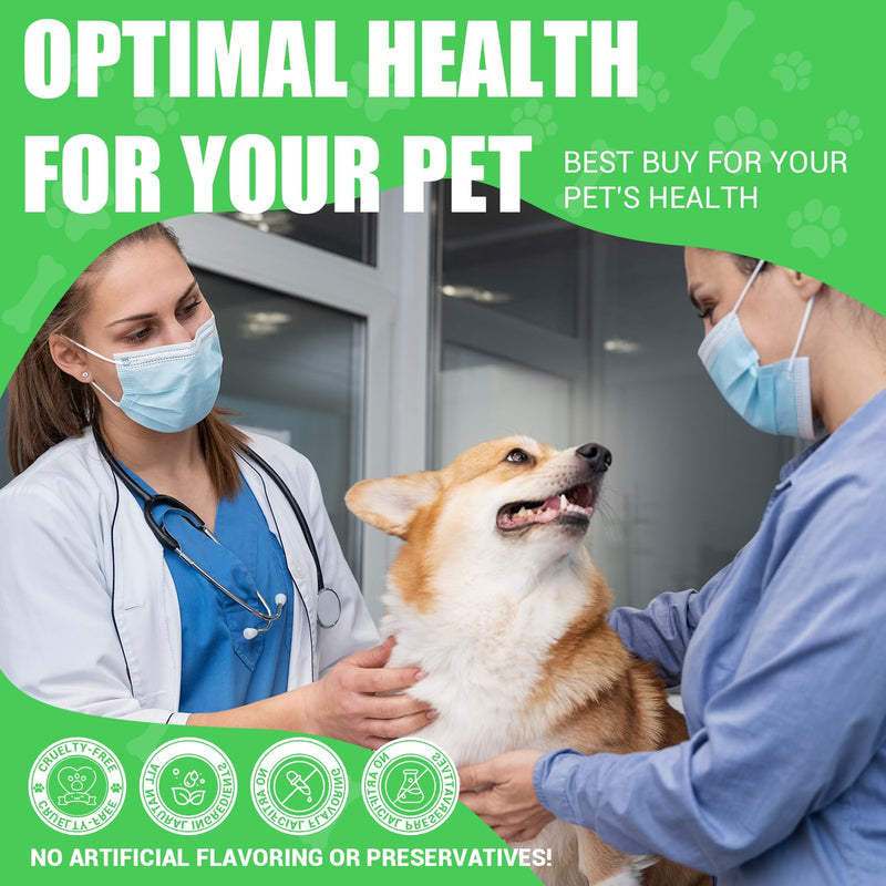 Milk Thistle for Dogs - Liver & Kidney Support, Natural Detox & Hepatic Health, with Wild Alaskan Salmon Oil & Curcumin, Omega 3 and Silymarins - Veterinarian-Formulated Herbal Supplement 2 Oz (2Pack) 2 Pack