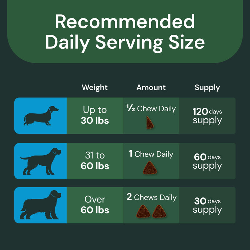 VetriScience VetriFlex Canine Formula - Active Joint Support Supplement for Dogs - Wellness Bites Support Comfortable Movement & Joint Relief - Agility & Flexibility Aid for Dogs - 60 Chews - PawsPlanet Australia