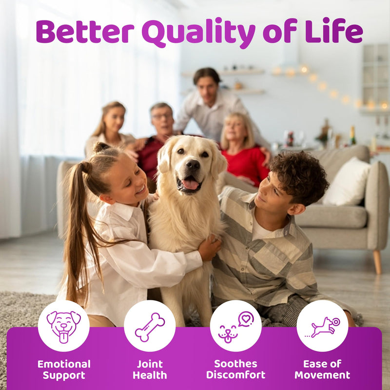 Liquid Supplement for Aging Dogs - Comprehensive Joint & Cognitive Support - Hip & Joint Care Supplements - Non-GMO & Vegan-Friendly-200ml