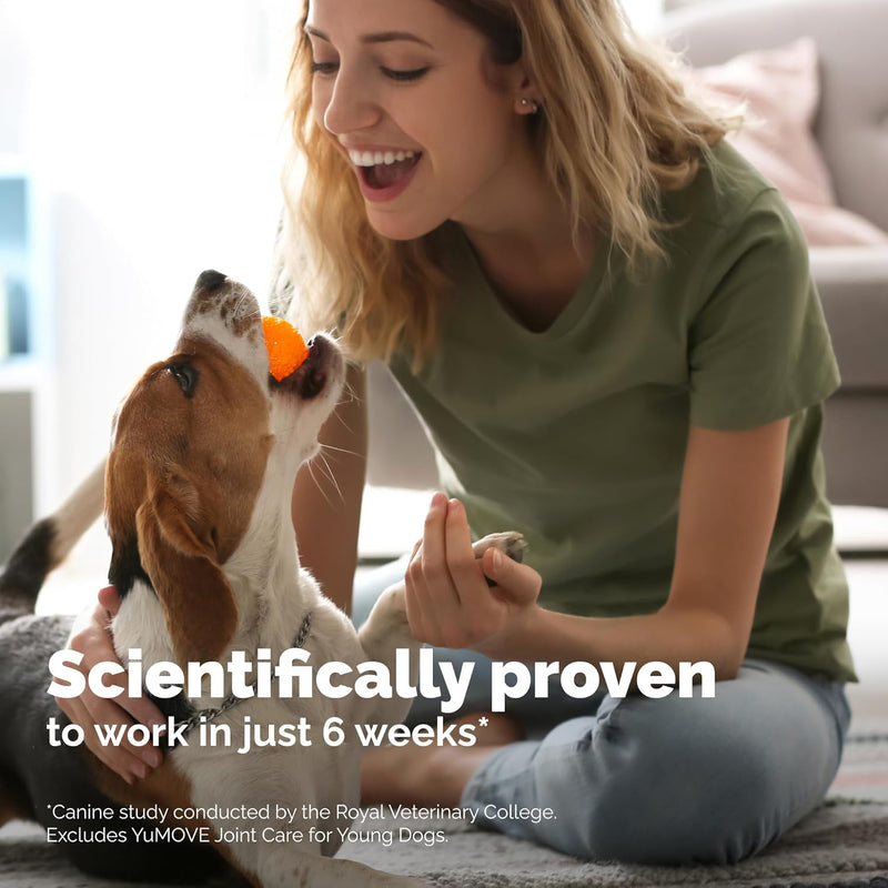 YuMOVE Hip and Joint Supplement for Dogs 300 count tablets Tablets: Adult - BeesActive Australia