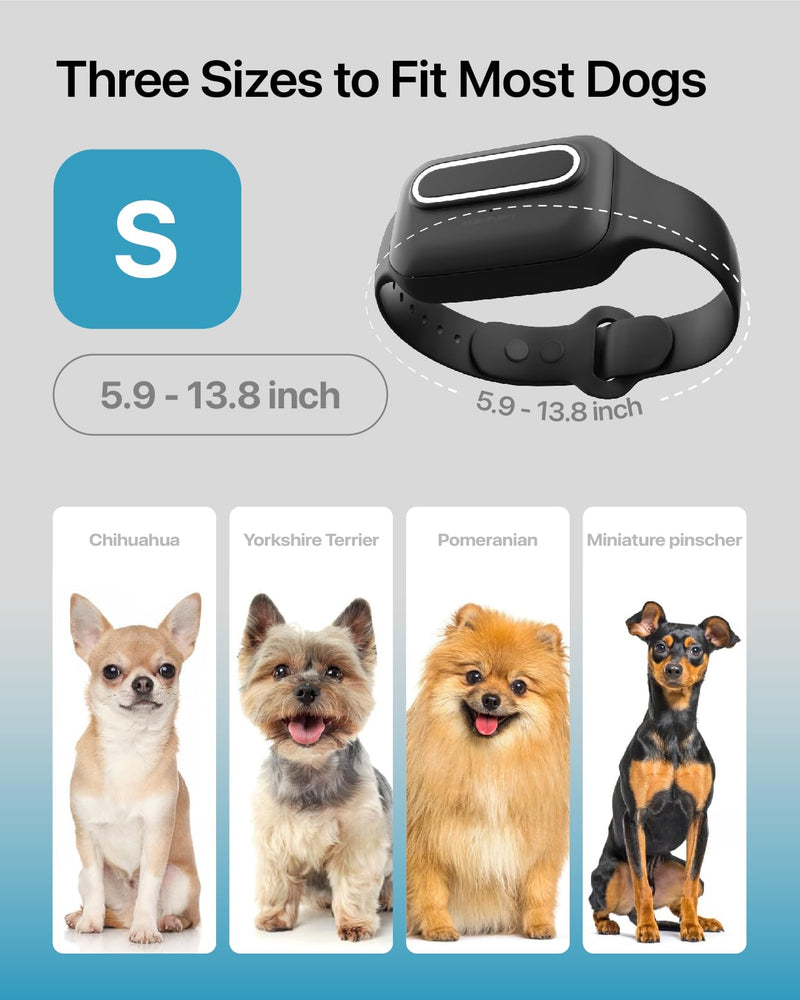 Dog Bark Collar Shock Vibration Beep: High Sensitive Barking Control Collar with Replaceable Battery for Small Medium Large Dogs (Small) - BeesActive Australia
