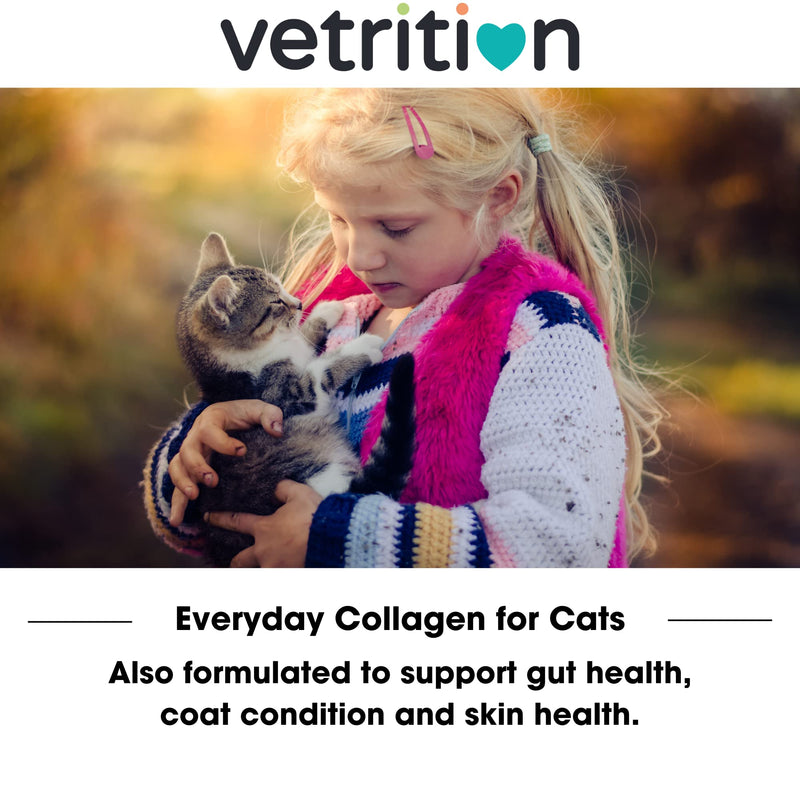 Everyday Collagen for Cats - Bioactive Cat Supplement for Hip & Joint Care - Easily Digestible Vet-Trusted Cat Collagen Powder for Mobility & Skin Health (75g Powder)