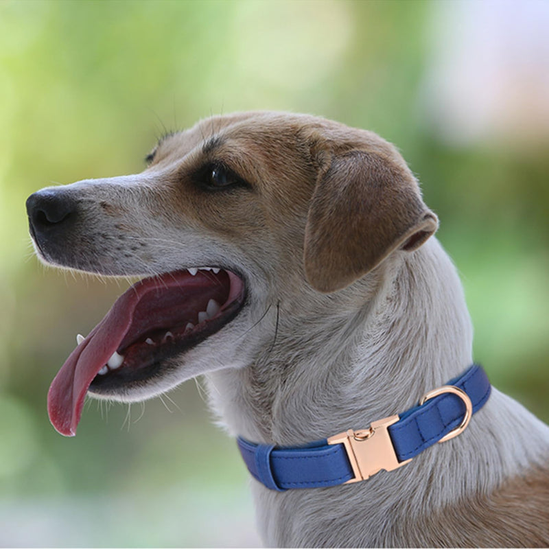 Dog Collar Leather Soft PU with Neoprene Inner Quick Release Gold Metal Buckle for Small Medium Large Dogs(M Red) M - BeesActive Australia