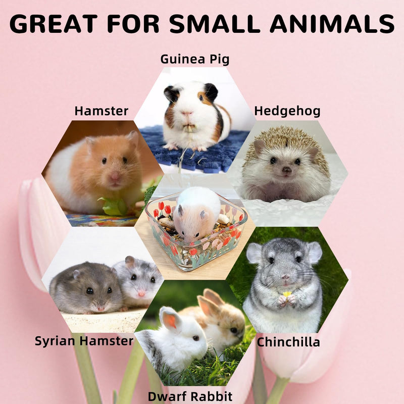 Hamster Food Bowl Glass Tulip Guinea Pig Food Dish Bowl Bunny Feeding & Water Bowls for Small Animals Syrian Hamsters Gerbil Ferret Mice Rats Rabbit Chinchilla Hedgehog (2 Pack) - BeesActive Australia