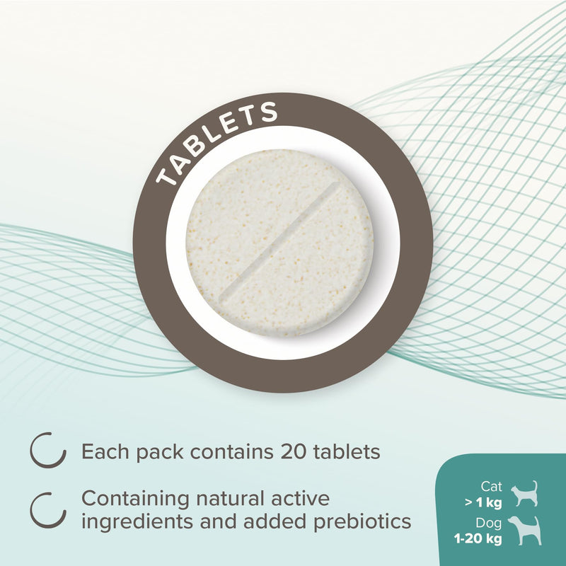 Beaphar – IntestoPro Prebiotic Stool Firming Tablets for Cats and Small Dogs (<20kg) – Natural Active Ingredients – Aids digestive upsets and diarrhoea - Supports Healthy Gut Function – 20 Tablets 20 Tabs Small Dog Tablets