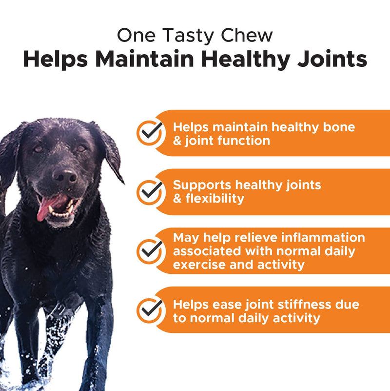 PetHonesty 10 in 1 Multivitamin + Hip & Joint Health Soft Chew Supplement Bundle - Dog Vitamins - Glucosamine Chondroitin, Omegas, Turmeric and MSM for Overall Dog Health, Joint Supplement for Dogs. - PawsPlanet Australia