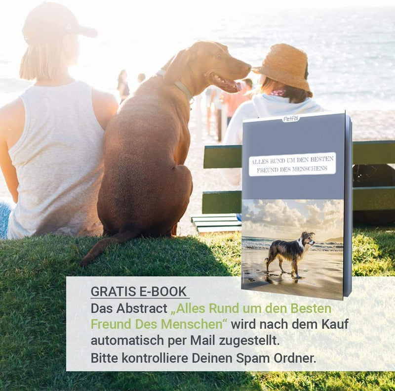 PetPäl dog liver sausage “TuboSnack” - without grain, salt, sugar - premium treat from the tube - tasty, tasty, healthy, natural - also ideal for puppies - 3x 75g dog snack Made in Germany 75 g (pack of 3) - BeesActive Australia