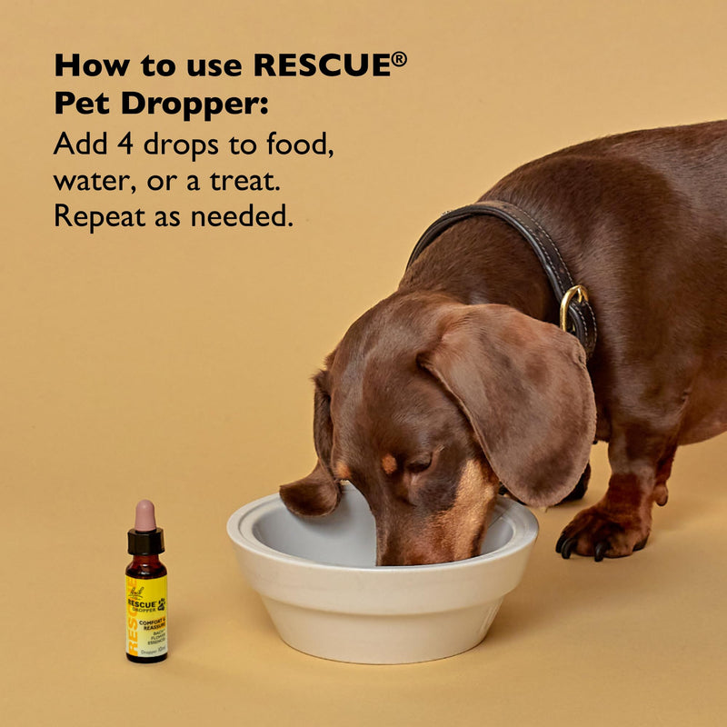 Rescue Pet Calming Dropper 10ml for Dogs & Cats, Natural Flower Essences, Separation, Fireworks, Travel, Thunder, Loud Noises, Calming for Dogs, Cats, & Other Pets