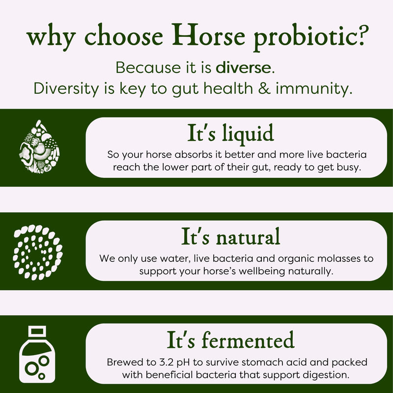 MICROBZ HORSE NUTRITION | 1 Litre | Liquid Beneficial Microbes for Horses & Foals, to Support Equine Digestive Health, Immunity & Performance - 100% Natural