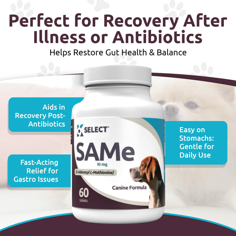 K9 Select Pet Probiotics for Dogs with Inulin – Dog probiotics for Digestive Health & Gut Support with Digestive Enzymes for Dogs, Supports Yeast Balance & Dog Digestive Support – 90 Tablets