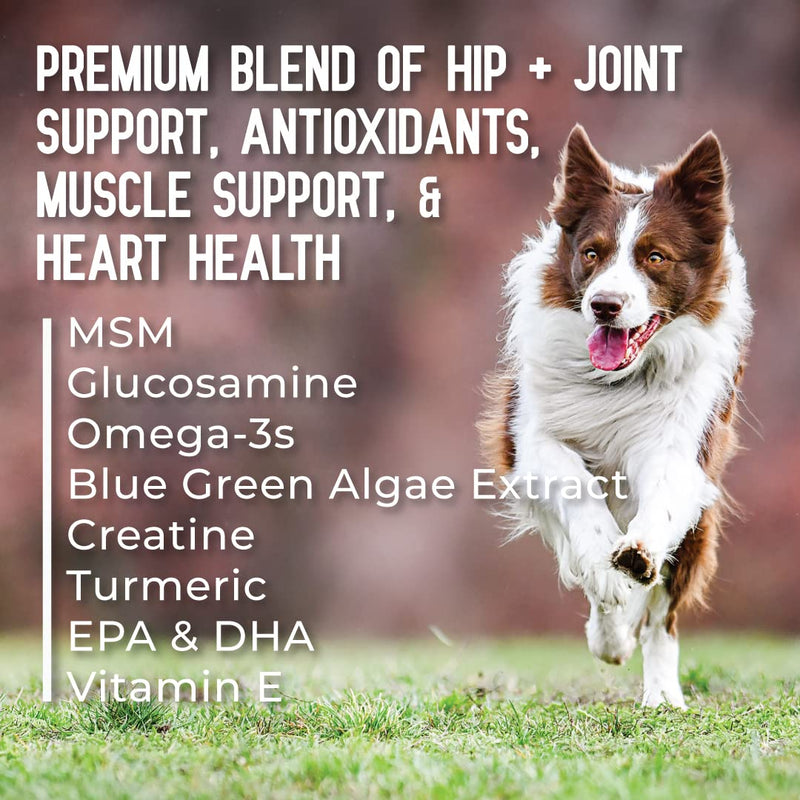 Hip + Joint Supplement with Glucosamine, MSM, Omega 3s, and Turmeric, Normal Inflammatory Response, Antioxidants, Made in USA, For Dogs , 75 ct - BeesActive Australia