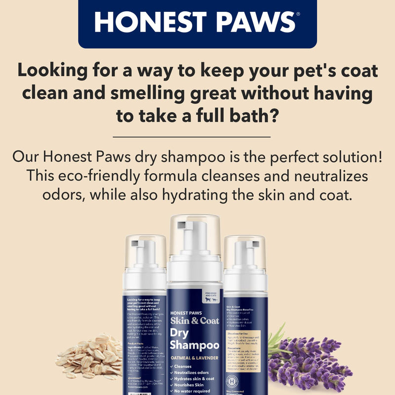 Honest Paws Dog Dry Shampoo - Waterless No Rinse Foaming Formula Reducing Itch Cleanse Hydrate Nourish Dry Skin and Smelly Coat Help Decrease Odor Shedding and Allergies - Oatmeal & Lavender - 6.3 oz Foaming - Oatmeal & Lavender - 6.3oz - BeesActive Australia