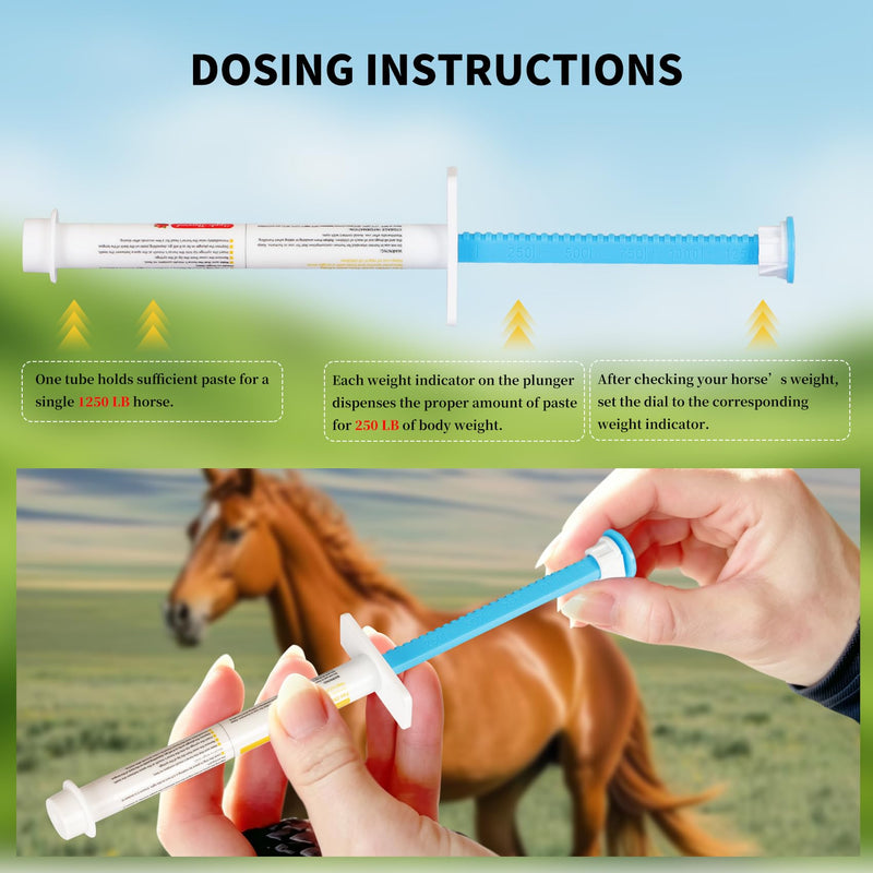 Paste 1.87% – Apple Flavored – 6.08g Tube – for Horses Up to 1250 lb - 3 Pack