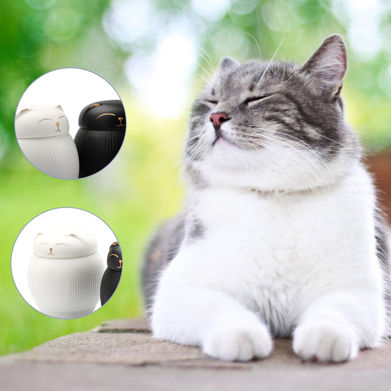 DiDiBirDi Ceramic Urn for Cat, Animal Urn, Pet Cremation Box, Cat Urn for Ashes, Black Cat Urns for Ashes (White) White - BeesActive Australia