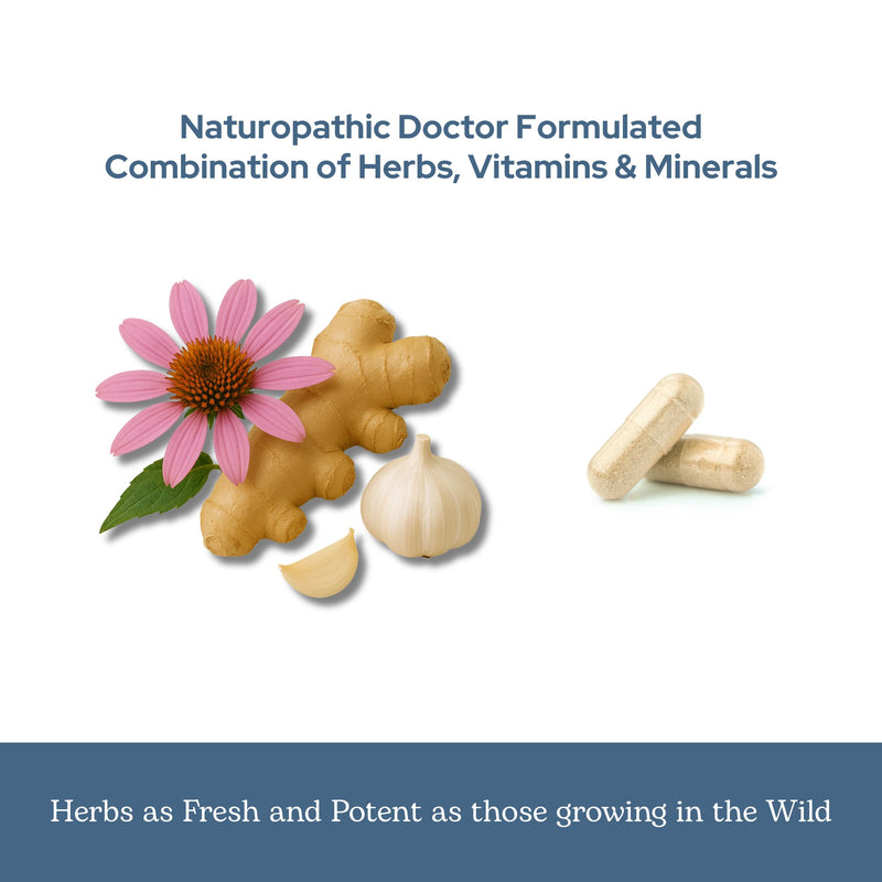 Eclectic Herb - Organic Vitabiotic Capsules | Immune Support Supplement | Natural Herbal Multivitamin Supplements | US-Grown, Non-GMO, Vegan, Whole Herb (150 CT | 750 mg)