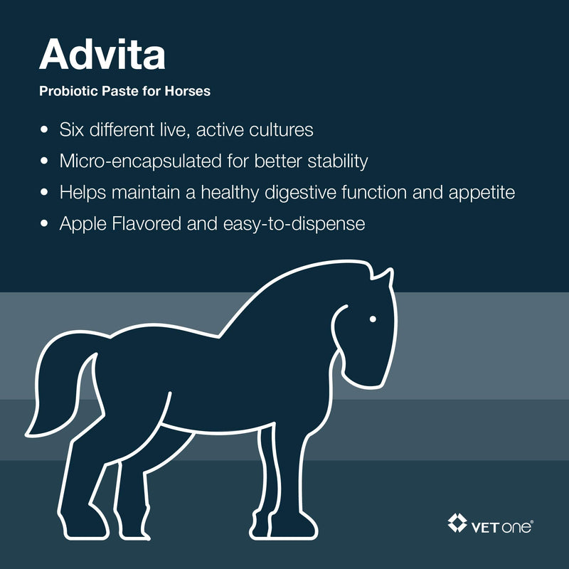 VetOne - Advita™ Apple Flavored Probiotic Paste for Horses | Horse Supplements | Improve Your Horse Digestion | 30g per Tube - BeesActive Australia