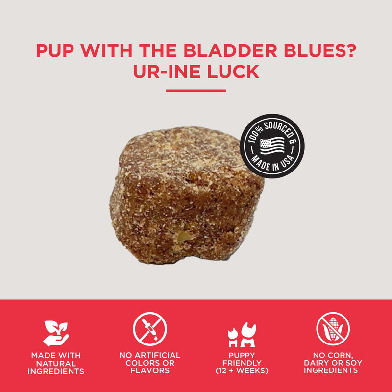 Natural Rapport Dog Bladder Support - The Only Bladder Support Chews Dogs Need - 120ct Supplements that Contain Cranberry and D- Mannose to Aid in Kidney Function Bladder Chew
