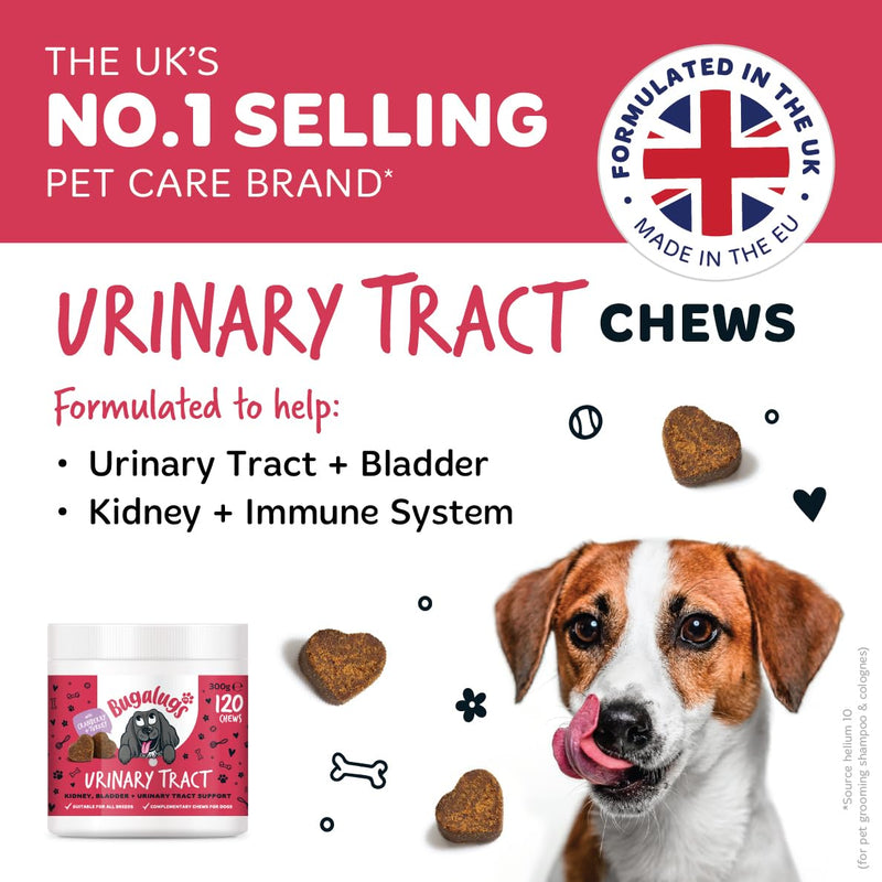 Bugalugs Urinary Tract Dog Chews helps stop dogs urinating in house & dog incontinence. supports UTI, Bladder & Kidney with Cranberry, D-Mannose & Marshmallow root. Grain free dog treats -120 chews
