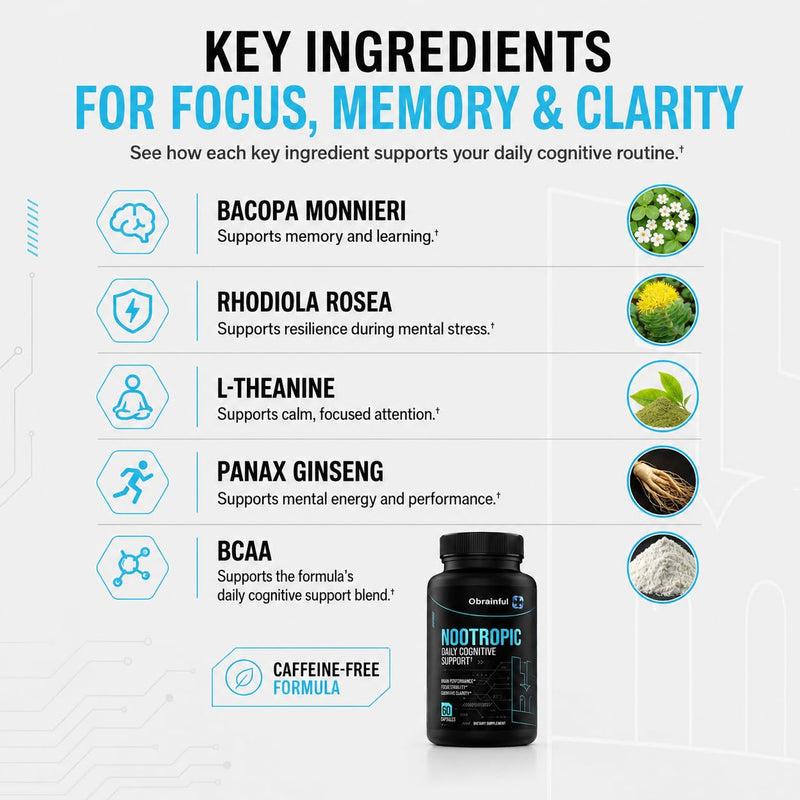 Nootropic Brain Support Supplement | Caffeine-Free Focus & Memory Formula with BCAAs, Bacopa & L-Theanine | Daily Cognitive Wellness & Mental Clarity for Adults | 60 Capsules