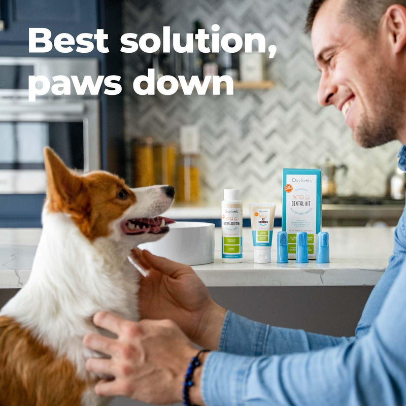 Oxyfresh Premium Pet Dental Kit for Dogs & Cats – Easy Solution for Dog and Cat Fresh Breath, Clean Teeth, Control Plaque & Tartar – Vet Formulated Pet Toothpaste 4oz + Water Additive 16oz Kit Large Kit - PawsPlanet Australia