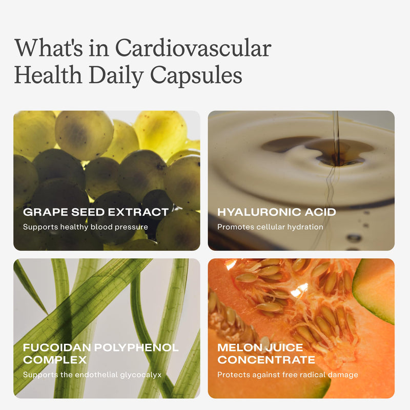 HumanN Cardiovascular & Metabolic Health Daily Bundle, Blood Pressure and Metabolic Balance Supplements, 120 Count