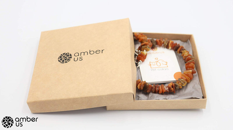 amber-us Amber necklace for dogs made of raw Baltic amber decorated with red coral | Tick collar | Amber against ticks | Tick and flea protection collar (55-60 cm) - BeesActive Australia