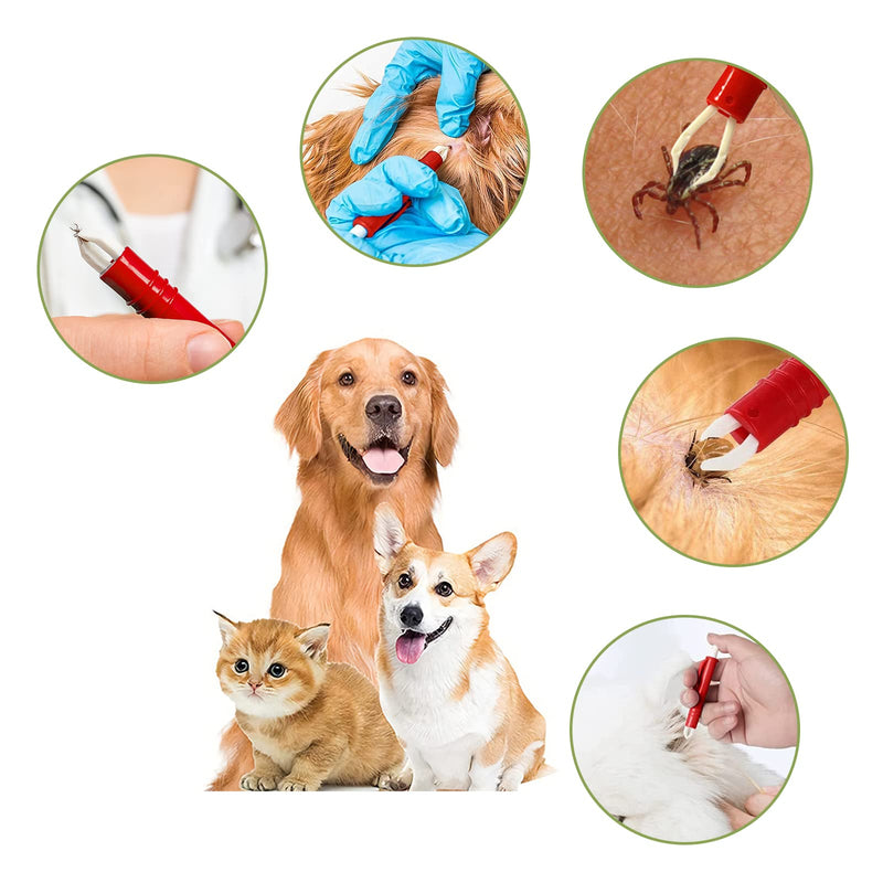 Nepfaivy Tick Tweezers for Dogs, Cats, People - Set of 2 Tick Tweezers for Children and Pets, Simple and Safe Tick Remover for Ticks of Any Size, Red - BeesActive Australia