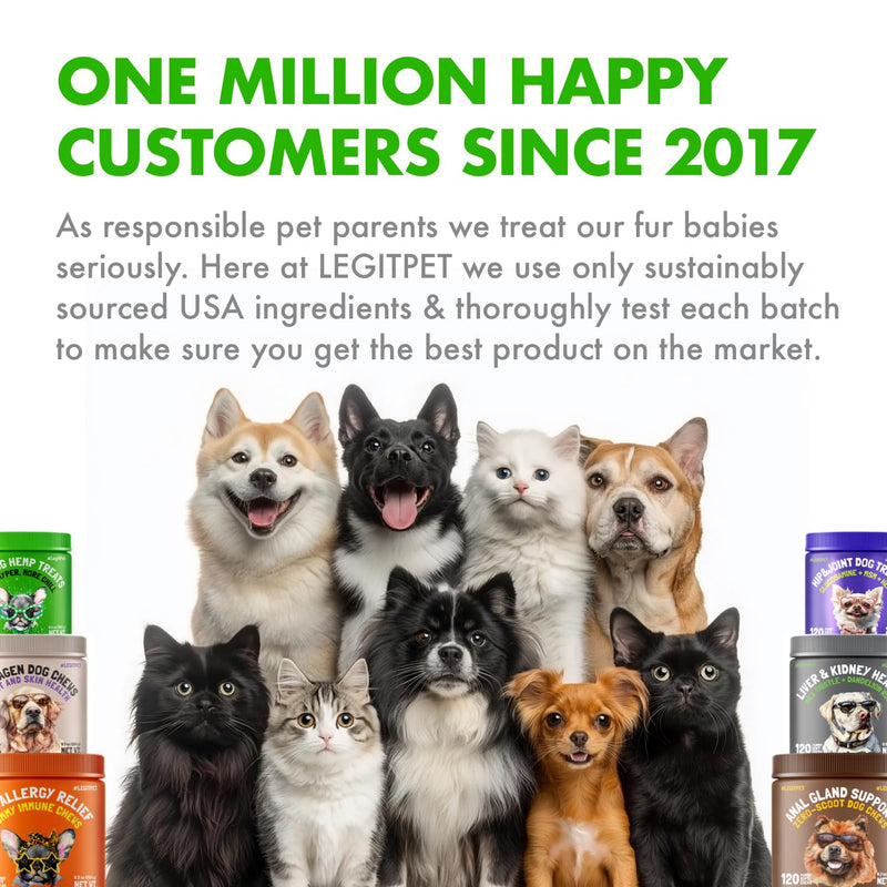 Cat Calming Treats Natural Anxiety Relief for Indoor Cats Stress & Travel Storm Separation Support Helps with Vet Visits, Grooming & Loud Noises Soothing Behavior Aid 95 Yummy Chews - PawsPlanet Australia