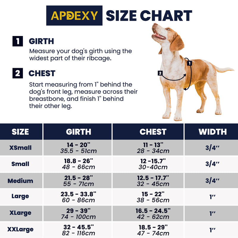 Anti Pull Dog Harness Freedom Walking, Stop Pulling with Two Stainless D-Rings, Comfortable & Lifhtweight, Sewn-in Instructions Labels for Easy Use (Blue, Large) Blue - BeesActive Australia