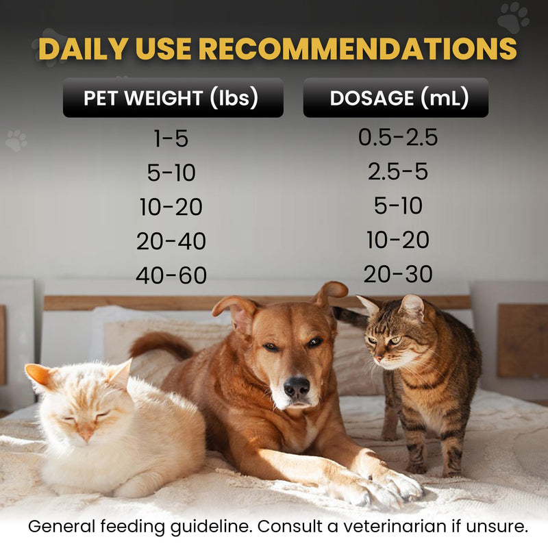 Activated Charcoal Gel for Dogs & Cats – Pet First Aid & Emergency Use, Fast-Acting Digestive & Toxin Support, Salmon Flavored Oral Syringe with Vitamin C, 60mL