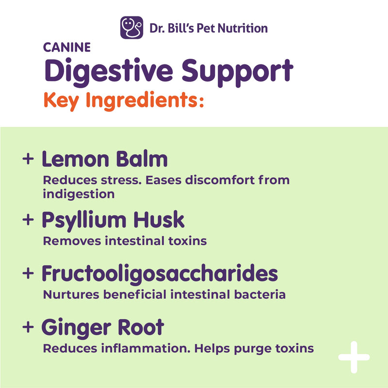 Dr. Bill’s Canine Digestive Support | Probiotics & Prebiotics for Dogs | Gut Health Pet Supplements | Contains Ginger Root, Psyllium Husk, Lemon Balm and Bifidobacterium - PawsPlanet Australia