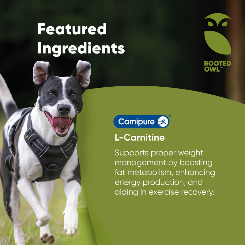 Rooted Owl Metabolism Support - L-Carnitine Supplement for Dogs and Cats to Support Healthy Weight - Dog and Cat Supplement - 60/ct Weight Management