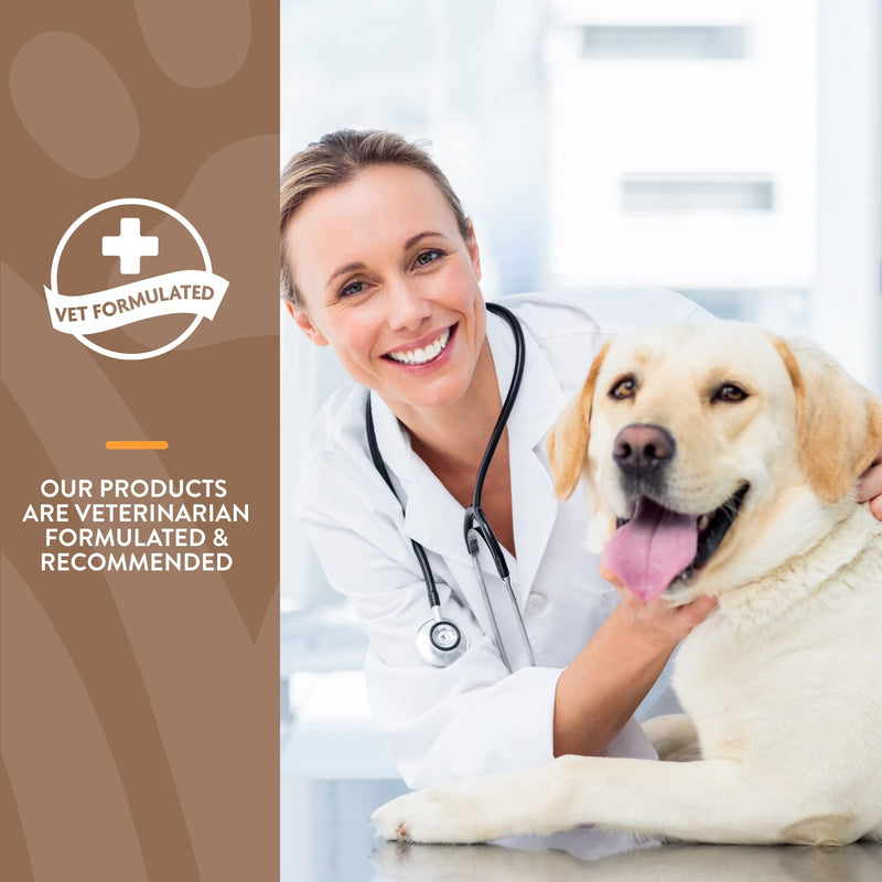 NaturVet All-in-One Dog Supplement - for Joint Support, Digestion, Skin, Coat Care – 120 Soft Chews & No Scoot for Dogs - 120 Soft Chews - Supports Healthy Anal Gland & Bowel Function