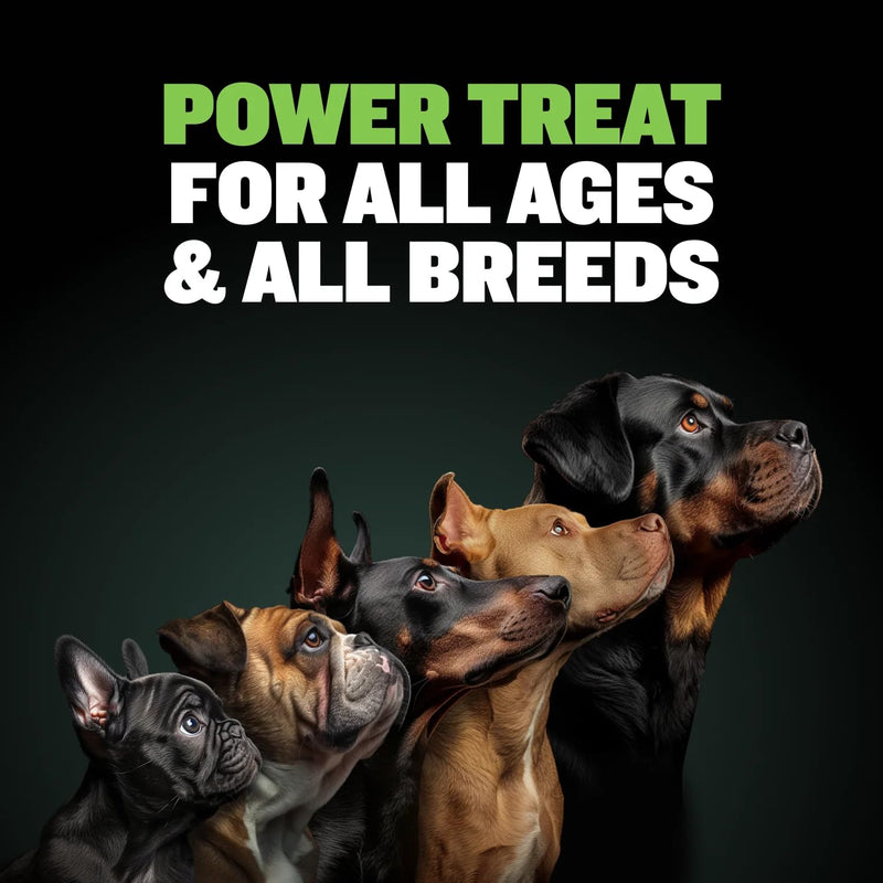 Bully Max High Protein Power Dog Chews – 75% Protein, All-Natural Long Lasting Yak Chews for Aggressive Chewers - Grain-Free Dental Dog Food Treats for Small, Medium & Large Breed Dogs - Lime, 3 Pack 1 Count (Pack of 3)