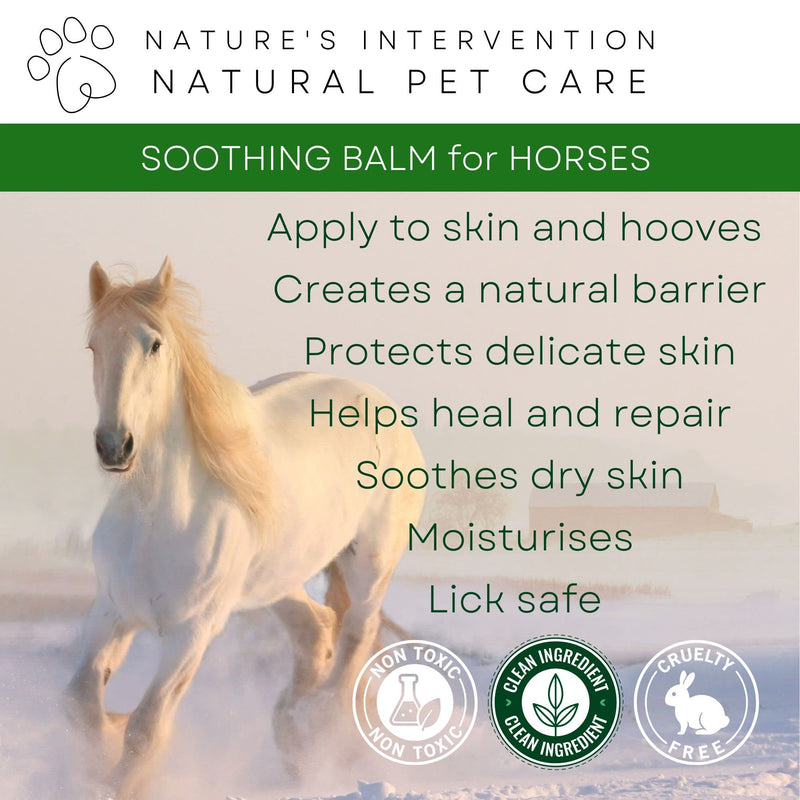 NATURE'S INTERVENTION 100% Natural Soothing Balm for Horses – 100ml – Beeswax, Shea & Cocoa Butter Barrier Balm with Neem & Tea Tree – Weather Protection for Sensitive Equine Skin – Aluminium Jar