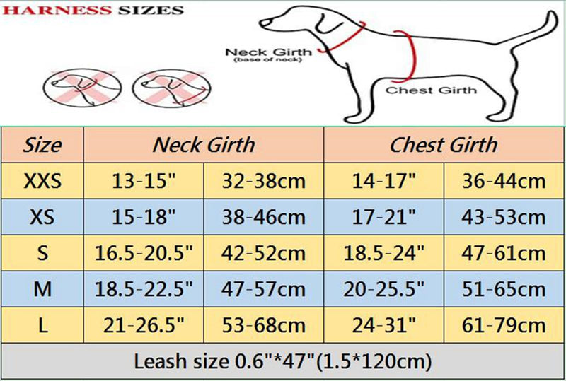 Adjustable No-Pull Dog Cat Harness Leash Set- Reflective Comfortable Control Vest Set- Soft Mesh Step-in Dog Cat Harness Leash,Orange,XXS XXS:Neck 13-15",Chest 14-17" Orange - BeesActive Australia