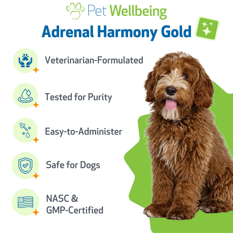 Pet Wellbeing Adrenal Harmony Gold for Dogs - Supports Adrenal Function & Normal Cortisol Levels with Ashwagandha & Bacopa - NASC Certified & Vet-Formulated - 2 oz Liquid Formula 2-Ounce