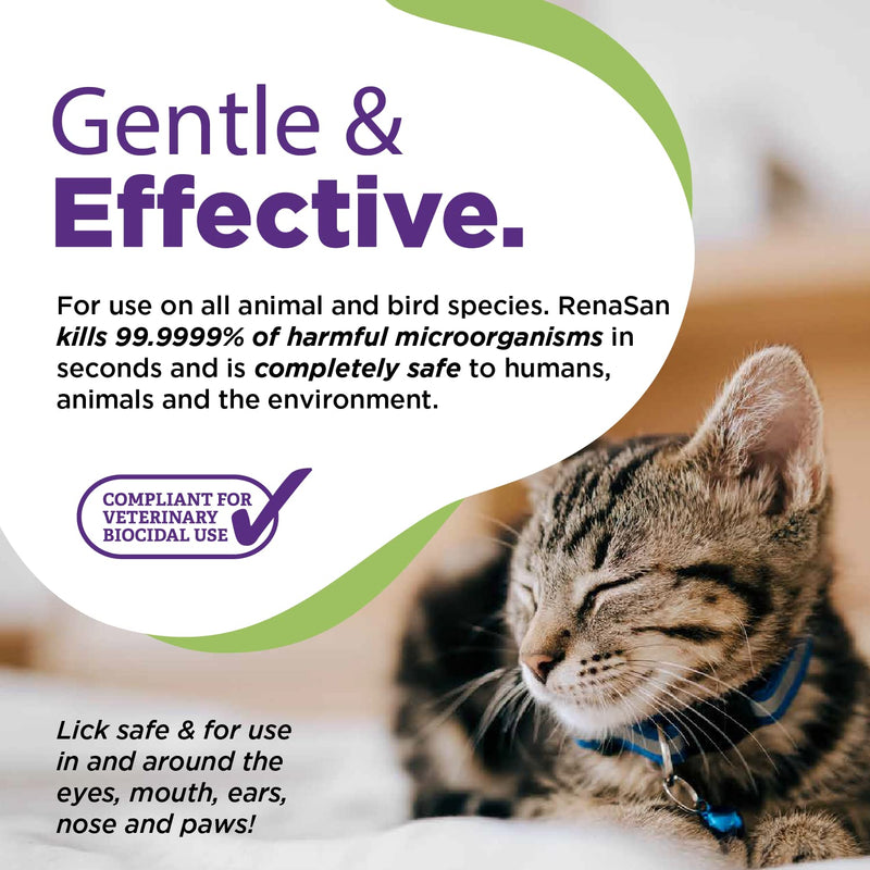 RenaSan Antiseptic Eye Drops (100 ml) – Eye Disinfection, Alcohol-Free, Non-Irritating and Natural Eye Cleaning Solution for Dogs, Cats, Reptiles, Poultry, Avian & Livestock 100 ml