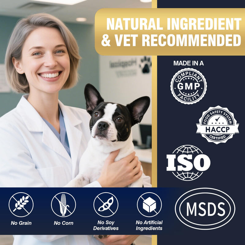 Dog Calming Chews 200ct, Calming Chews for Dogs - Anxiety and Stress Relief Treats Melatonin Bites Sleep Calm Dog - Separation, Fireworks, Thunder, Barking for Dogs - Chicken