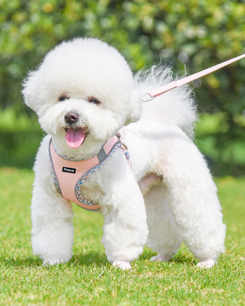 Petank Dog Harness for Small Medium Dogs No Pull, Puppy Harness and Leash Set, Easy Walk Dog Harness for Walking, Running, Training, Small Dog Harness, Medium Dog Harness (Pink, XXS) XX-Small Pink - BeesActive Australia