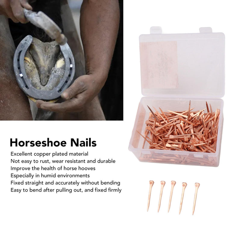 250Pcs Horseshoe Nails, Copper Plating Shoeing Nails with Plastic Box, Copper Plated Horseshoe Nails, Equestrian Riding Equipment, for Raise Livestock(45mm Copper-Plated Nail E3) 45mm copper-plated nail E3 - BeesActive Australia