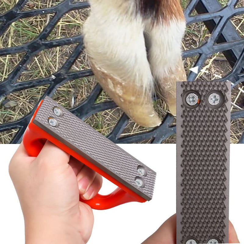 Wadoy Mini Hoof Rasp for Horses, Goat Feet Hooves, Hand-Held Rasp to Removes Excess Hoof Faster Horseshoe File Coarse Tooth for Foals, Goats and Other Animals - BeesActive Australia