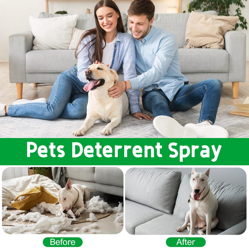 No Chew Spray for Dogs. Bitter Apple Spray for Dogs to Stop Chewing. Effective Anti Scratch Furniture Protector. Anti Chew Spray for Dogs Indoor & Outdoor Safe. Alcohol-Free & Non-Toxic, 120ML green - BeesActive Australia