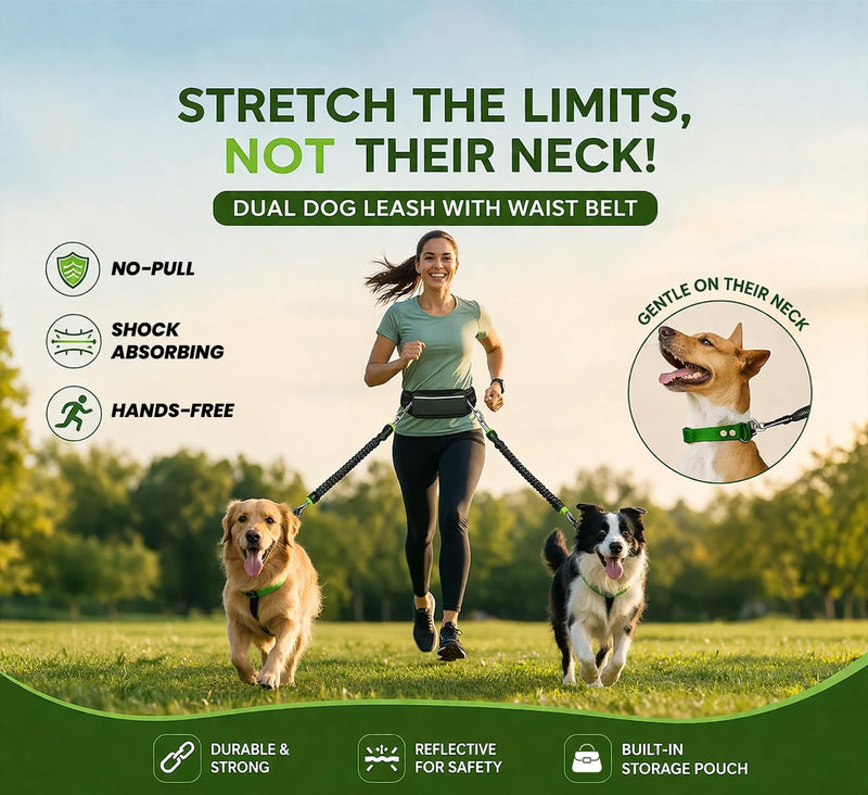 𝐇𝐞𝐚𝐯𝐲 𝐃𝐮𝐭𝐲 Hands Free Dog Leash for 2 Dogs – Dual Bungee Running Leash with Adjustable Waist Belt, Tangle-Free 360° Swivel, Shock Absorbing, Padded Handles & Zipper Pouch - BeesActive Australia